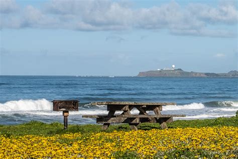 half moon bay state beach visitors center